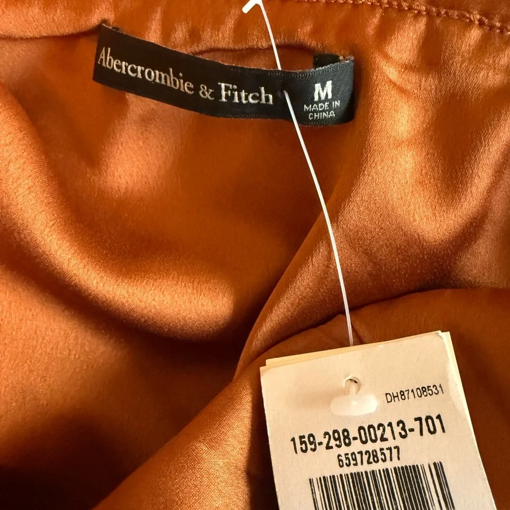 Abercrombie & Fitch Rust Satin Dress